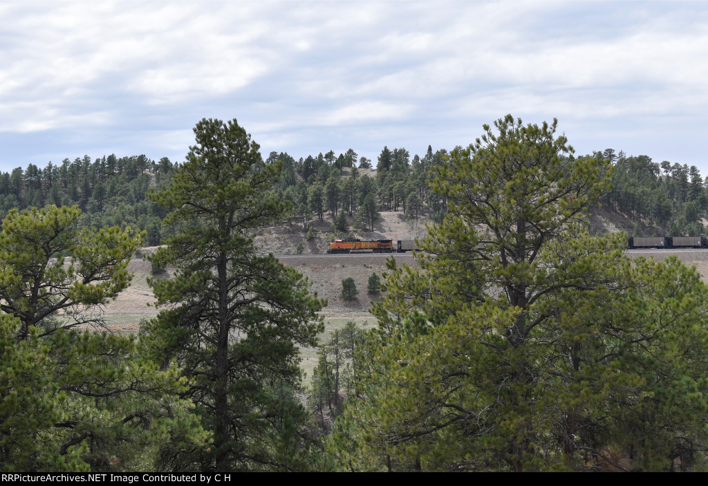 BNSF 5637